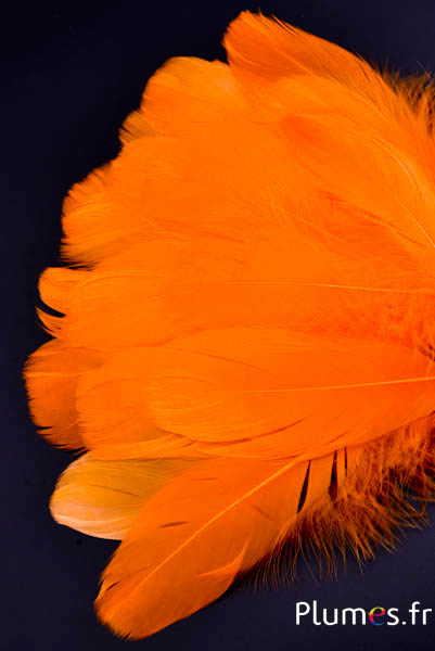 Oie - 11-15 cm - orange